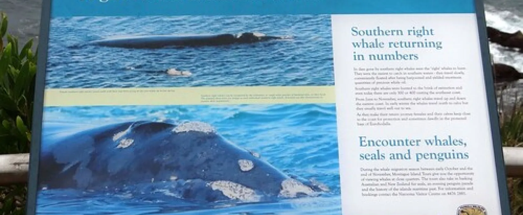 North Head (Airport) Campground