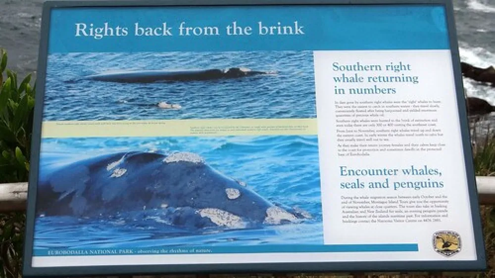 North Head (Airport) Campground