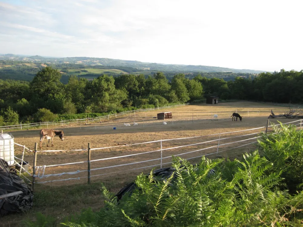 La Maison des Pères