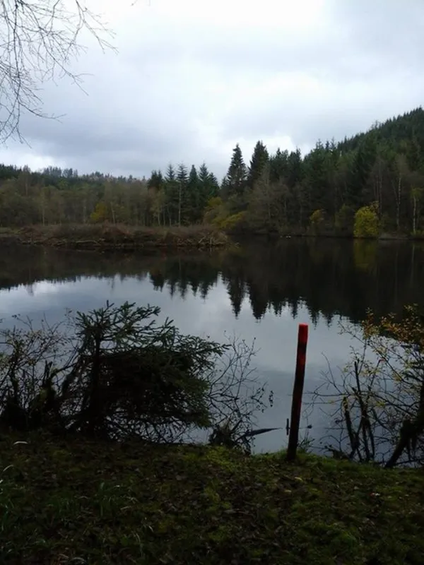 Mini camping de Paardebloem