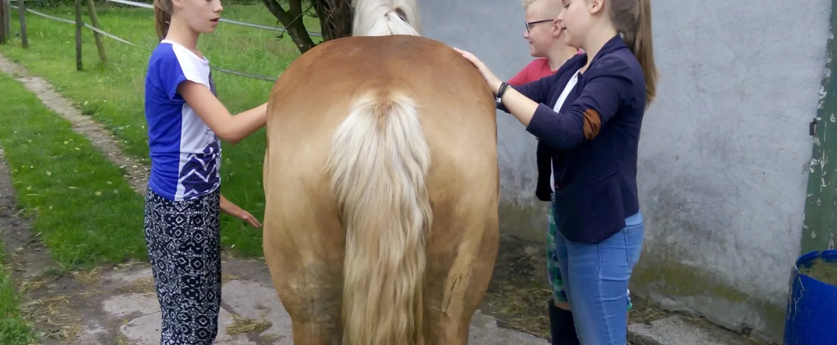 Boerencamping Lempkes Hoof