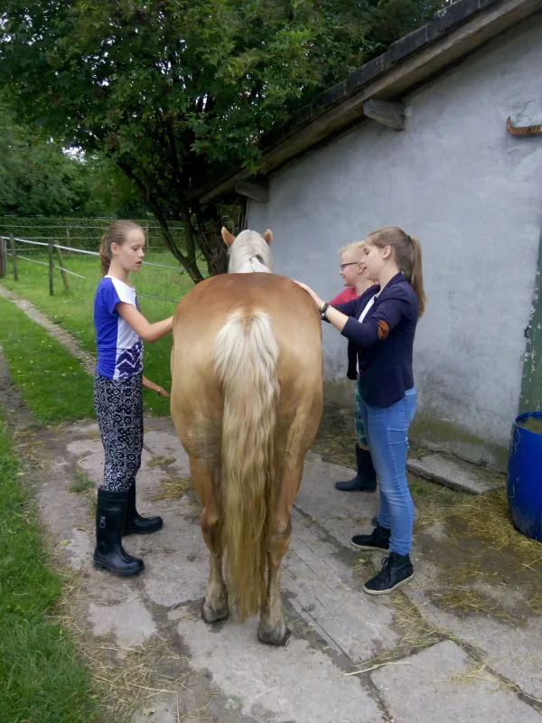 Boerencamping Lempkes Hoof