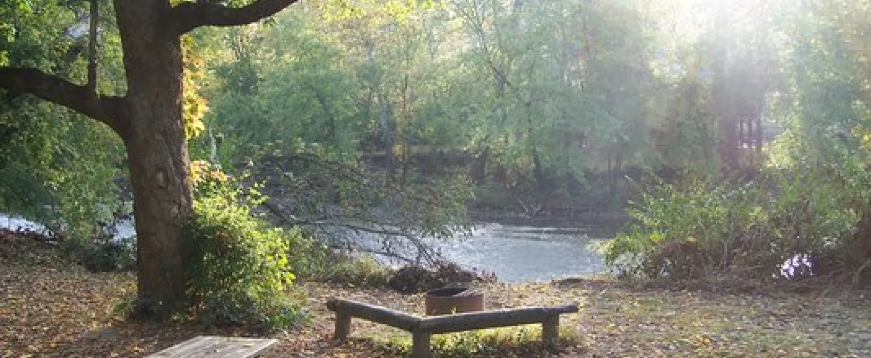 Morgan's Riverside Campground & Cabins