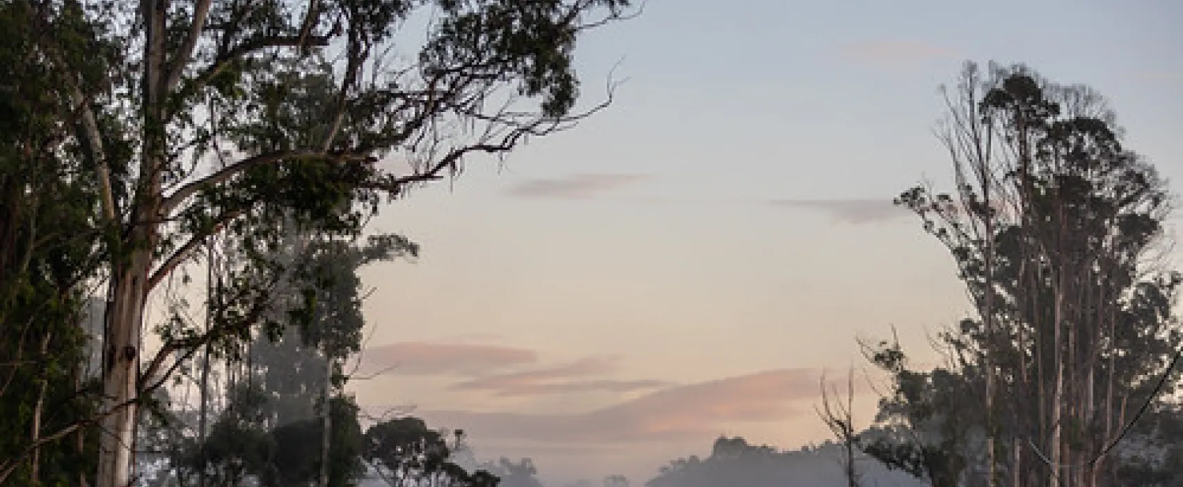 Genoa Rest Area Campground