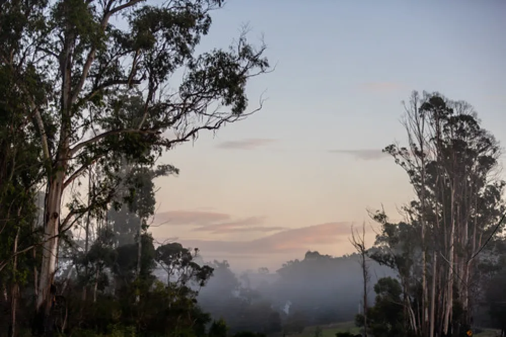 Genoa Rest Area Campground