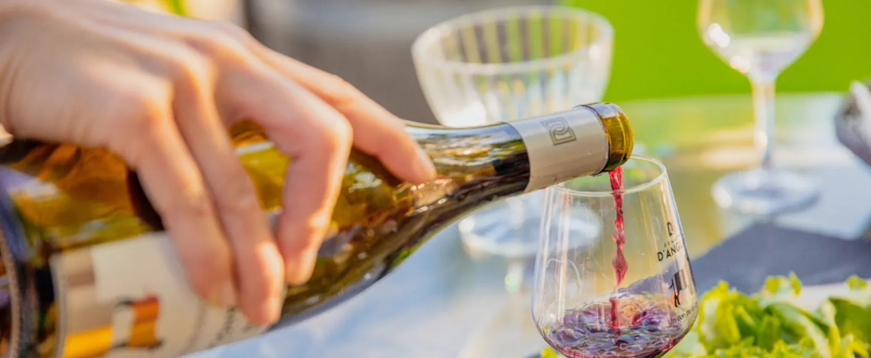 Le Domaine d' Anglas