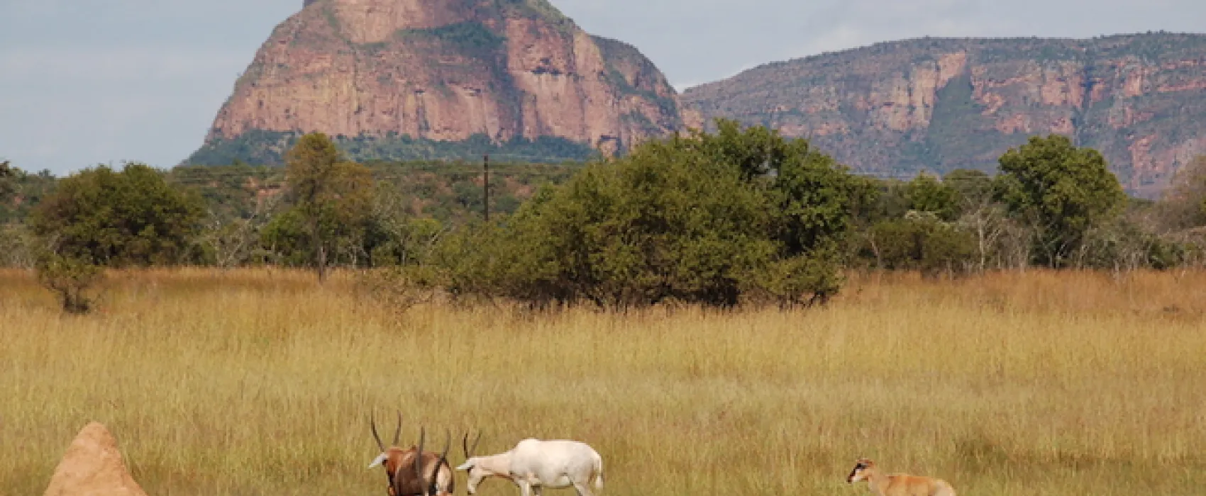 Lady Africa Bush Lodge