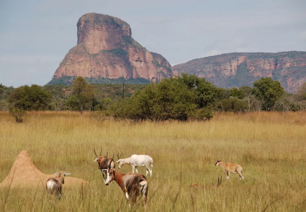 Lady Africa Bush Lodge