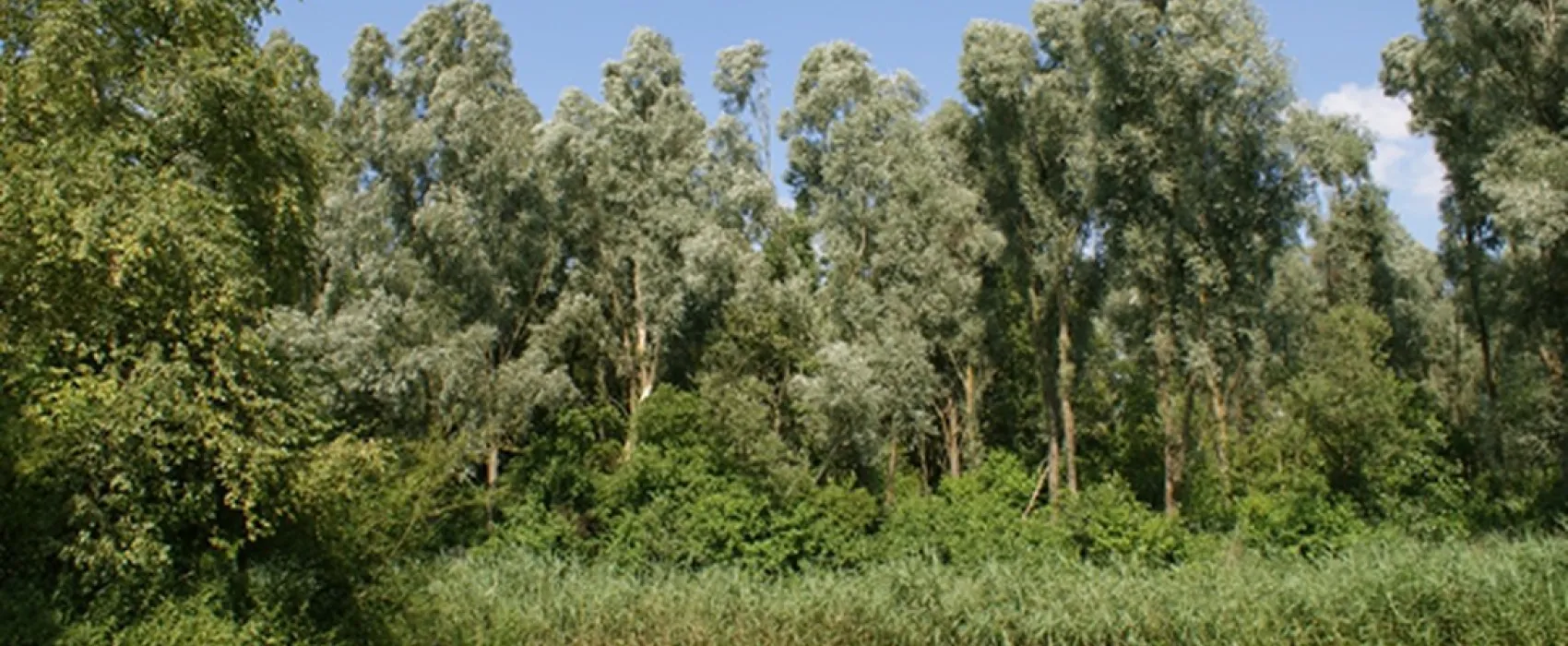 Kampeerterrein De Pomp