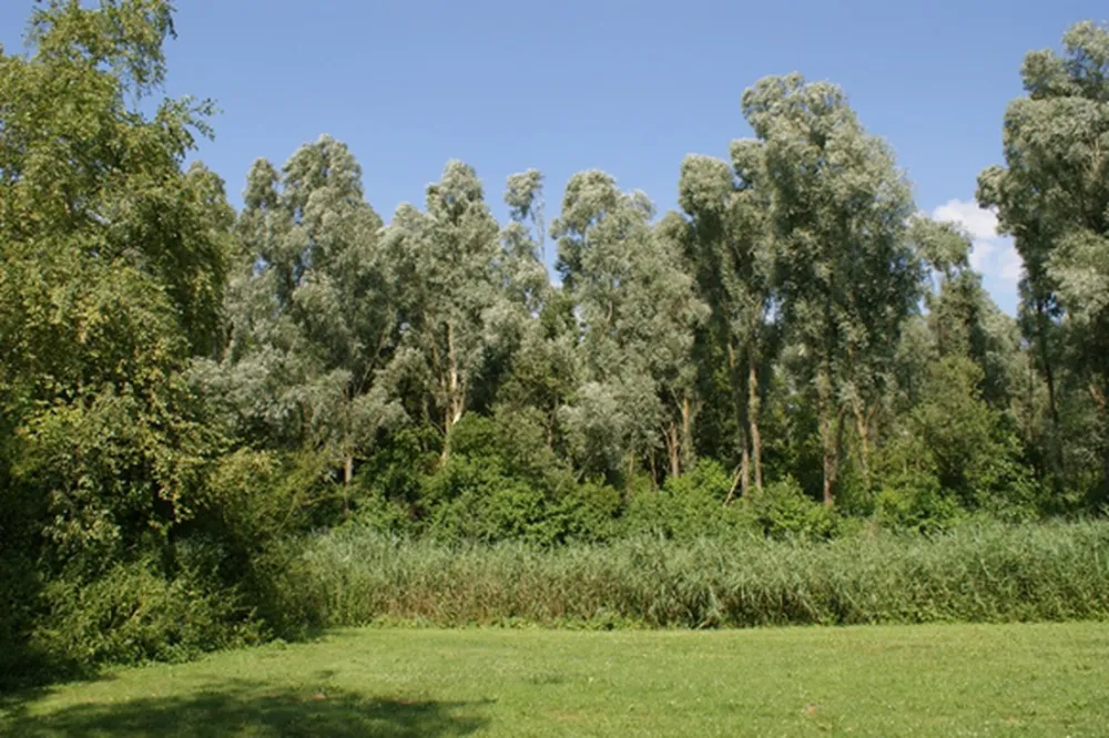 Kampeerterrein De Pomp
