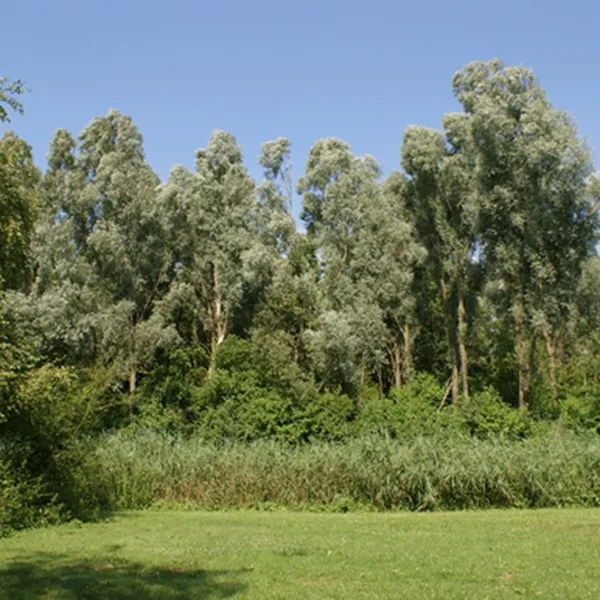 Kampeerterrein De Pomp