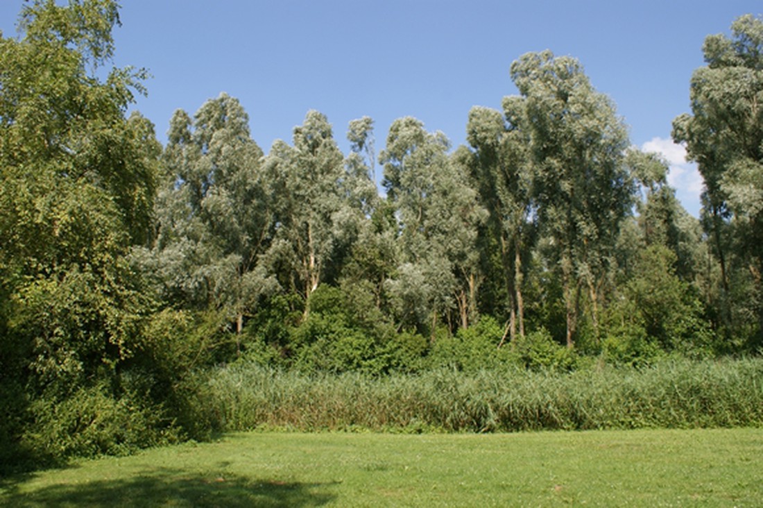 Kampeerterrein De Pomp - Photo 2
