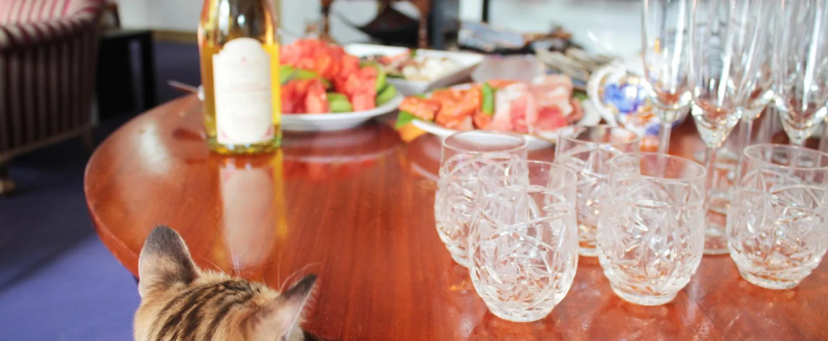 Kissakahvila-Purnauskis