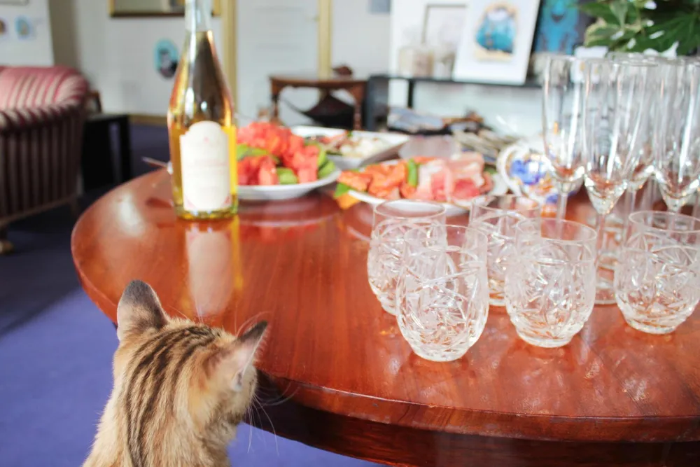 Kissakahvila-Purnauskis