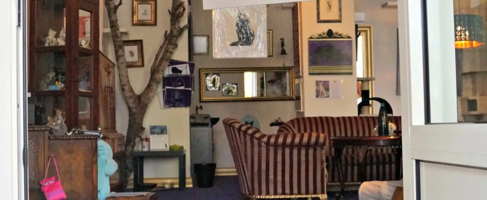 Kissakahvila-Purnauskis