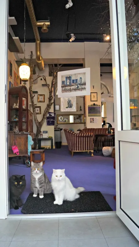 Kissakahvila-Purnauskis