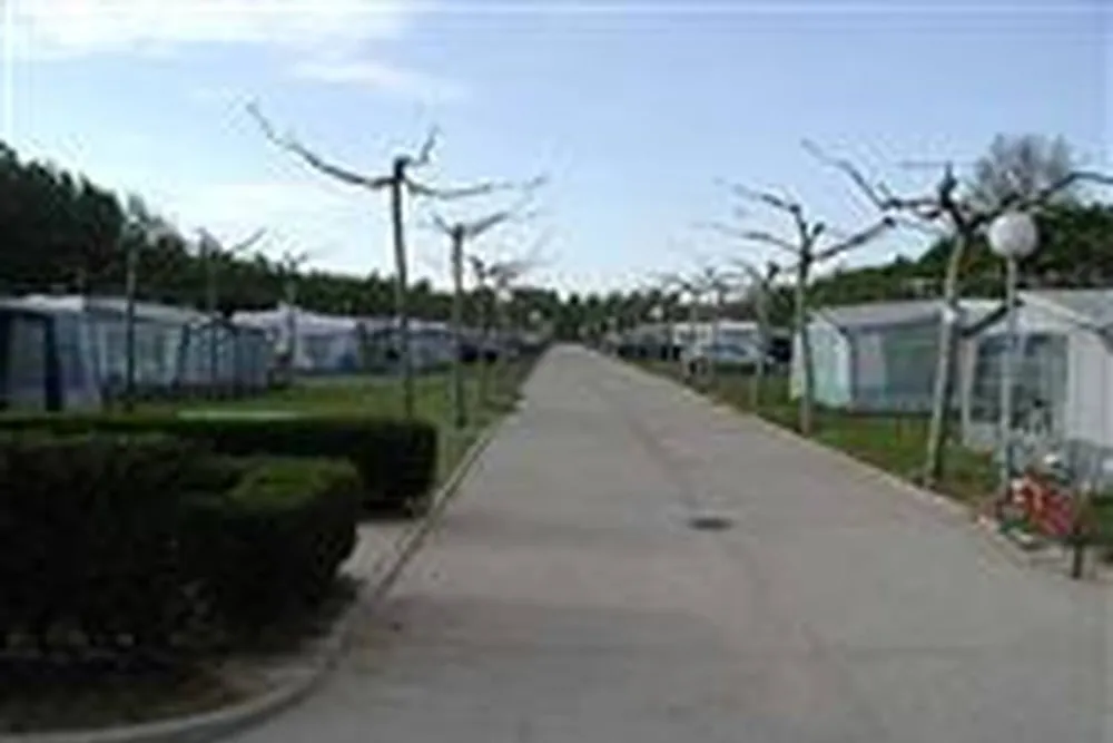 Camping Don Suero De Quiñones