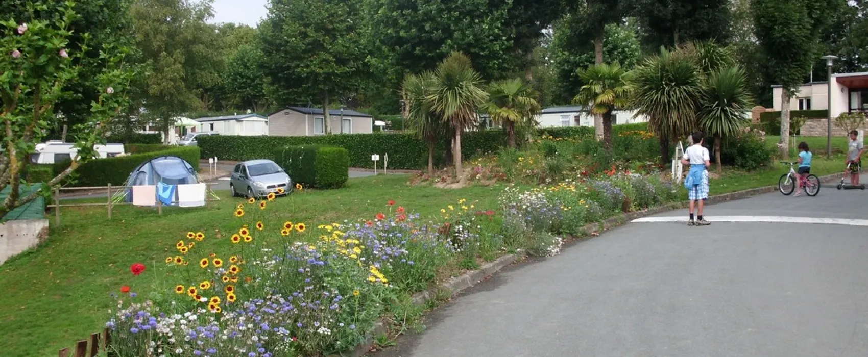 International de la Hallerais