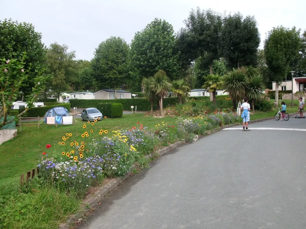 International de la Hallerais