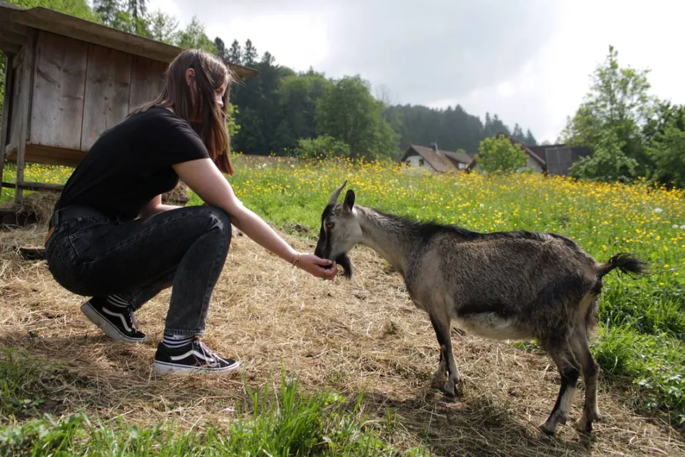 Winzerhof Camping Strablegg