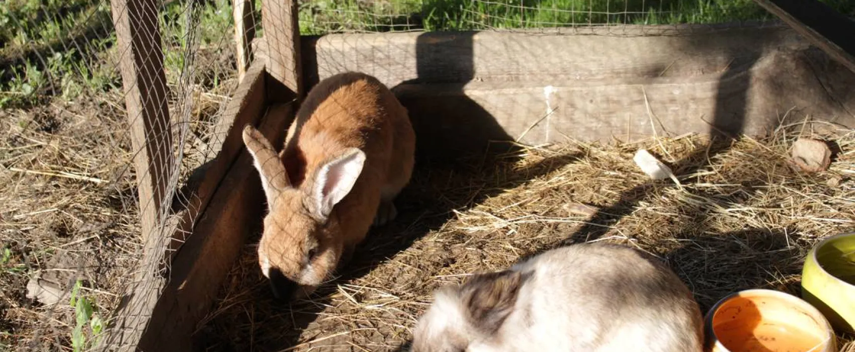 Winzerhof Camping Strablegg