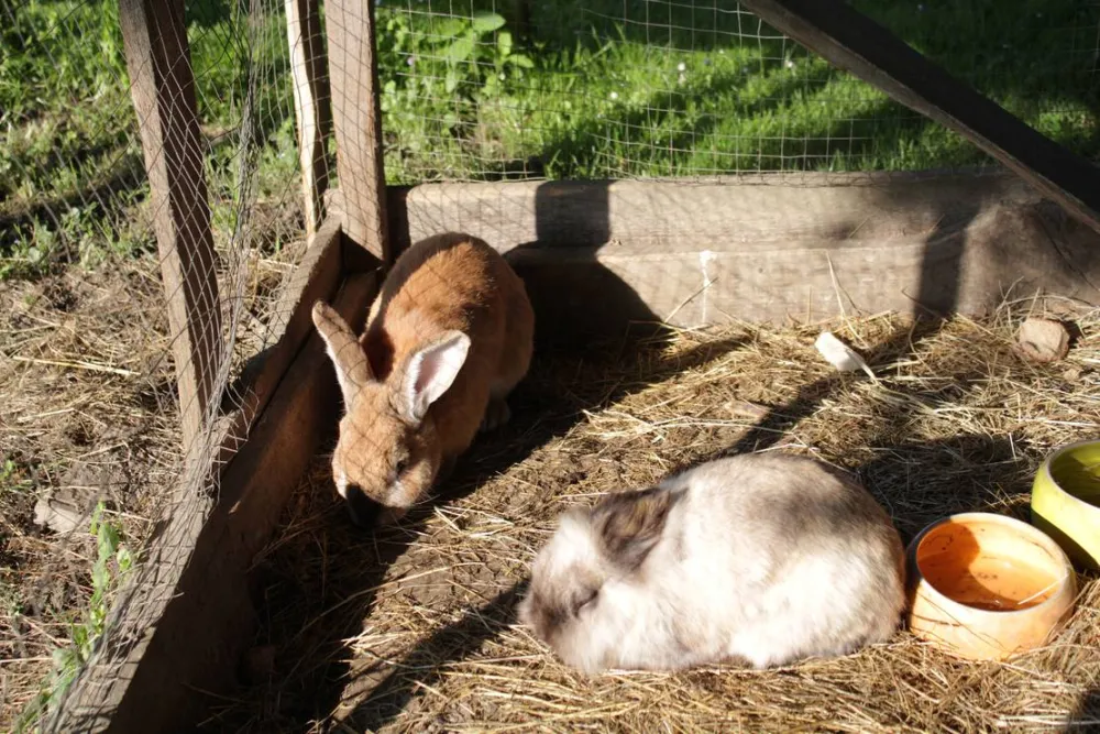 Winzerhof Camping Strablegg