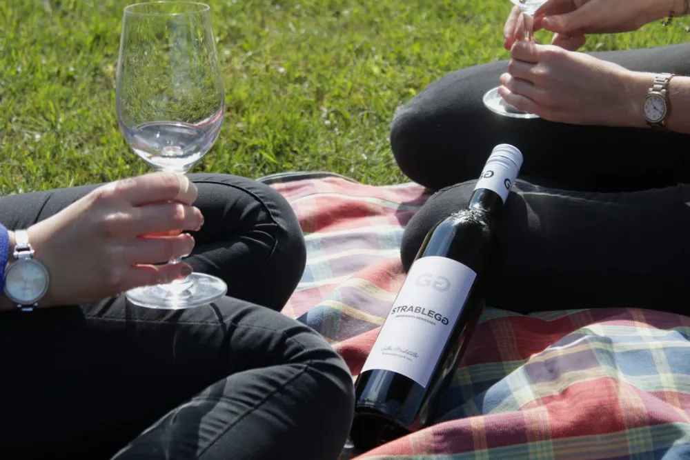 Winzerhof Camping Strablegg