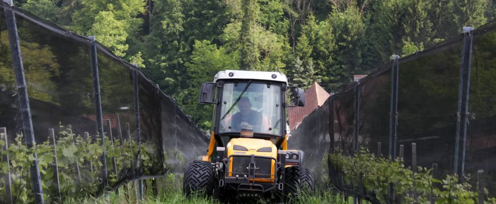 Winzerhof Camping Strablegg