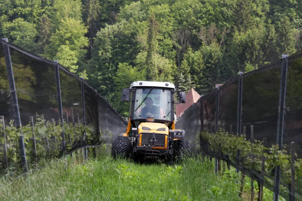 Winzerhof Camping Strablegg