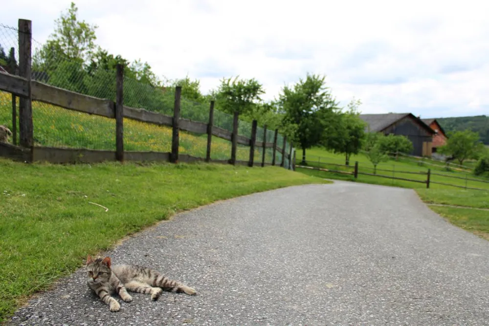 Winzerhof Camping Strablegg