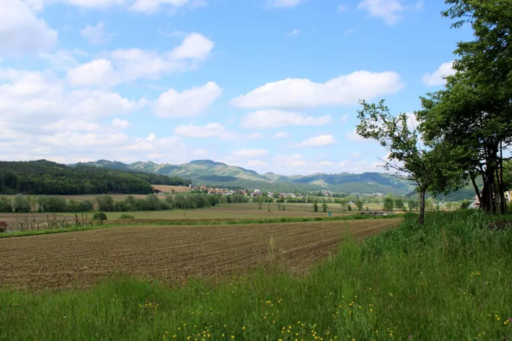 Winzerhof Camping Strablegg