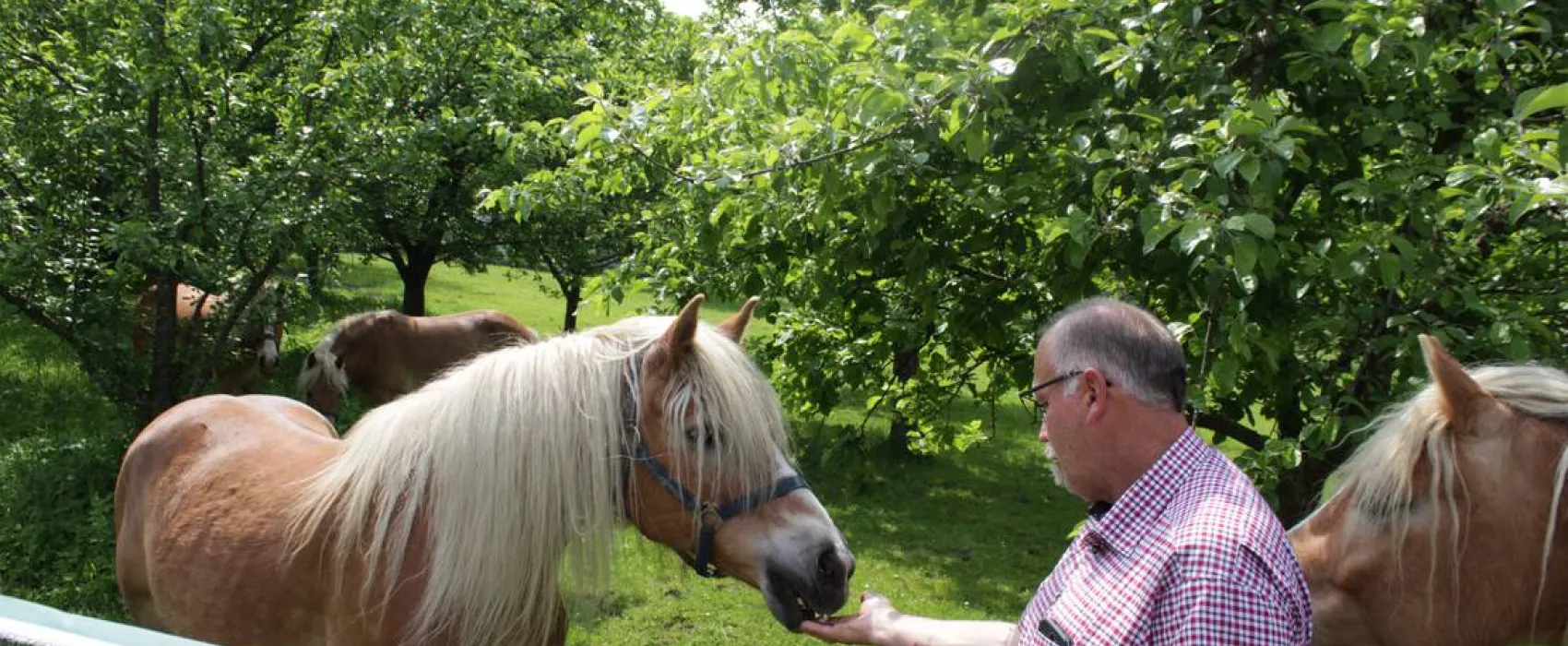 Winzerhof Camping Strablegg