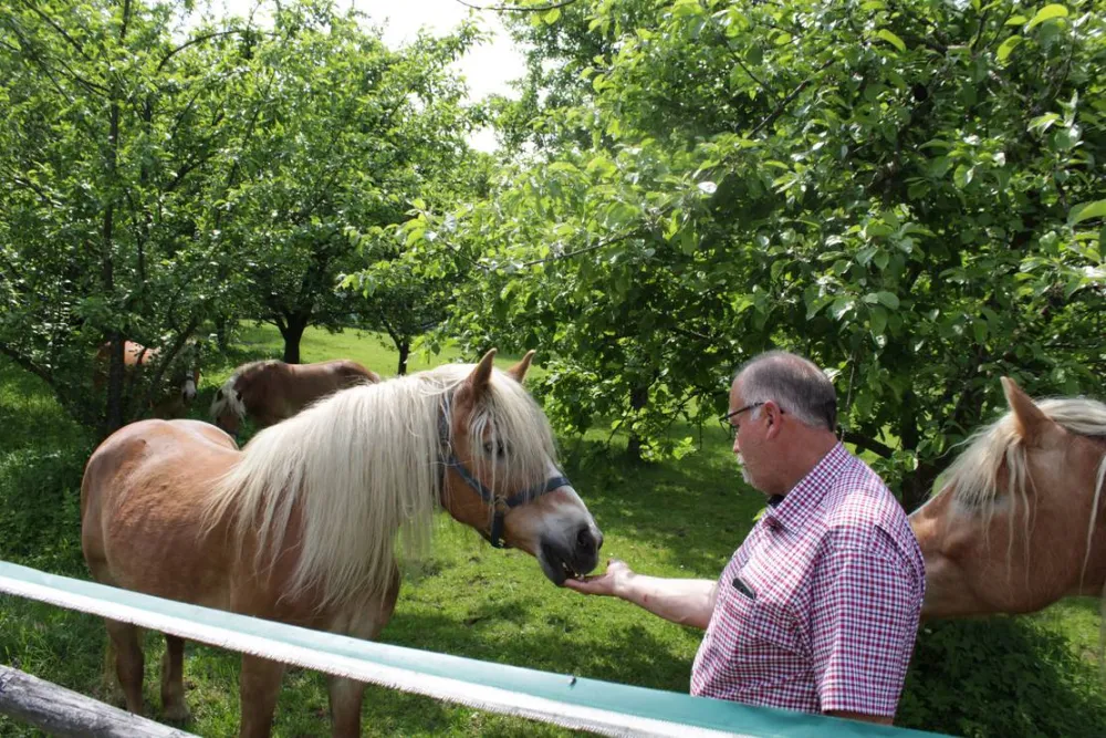 Winzerhof Camping Strablegg