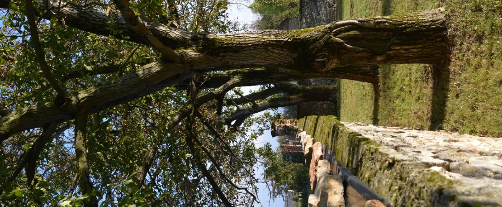 Bagolyvár Fogadó & Bakonyi Camping