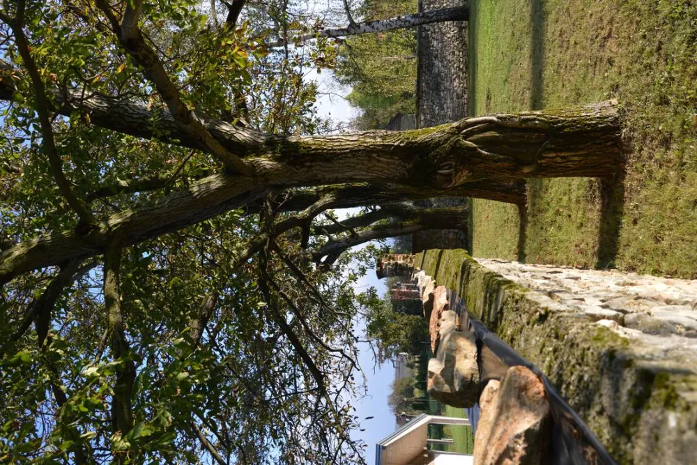 Bagolyvár Fogadó & Bakonyi Camping