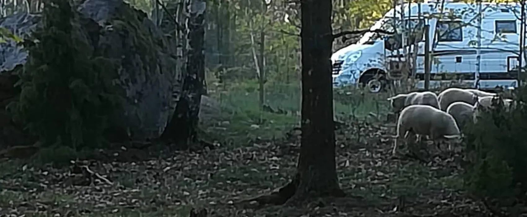 Rugstorps Lantgård Ställplats