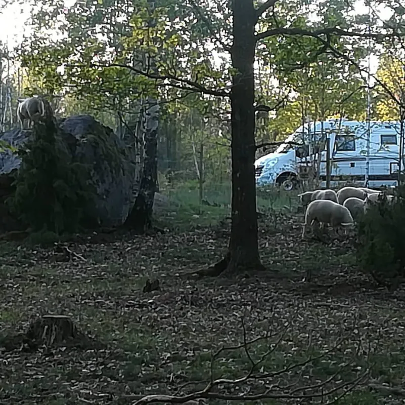 Rugstorps Lantgård Ställplats