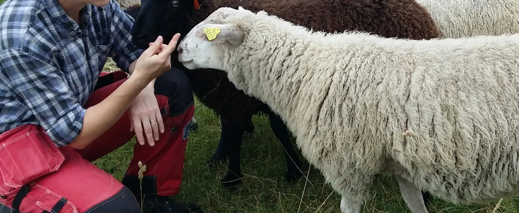 Rugstorps Lantgård Ställplats