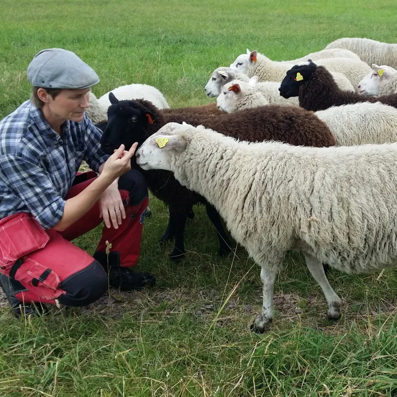 Rugstorps Lantgård Ställplats