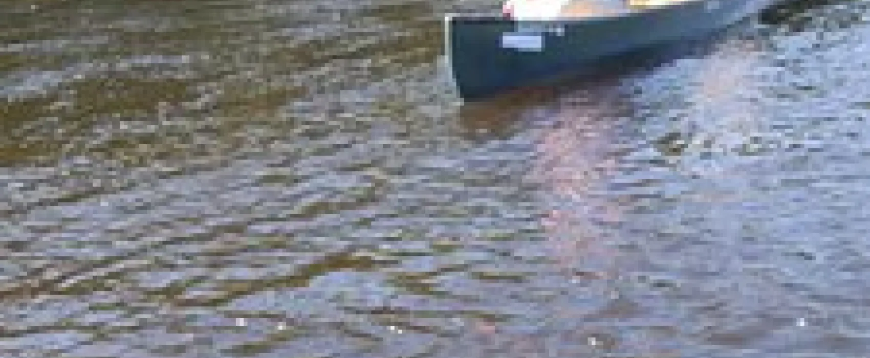 Stony Brook Recreation