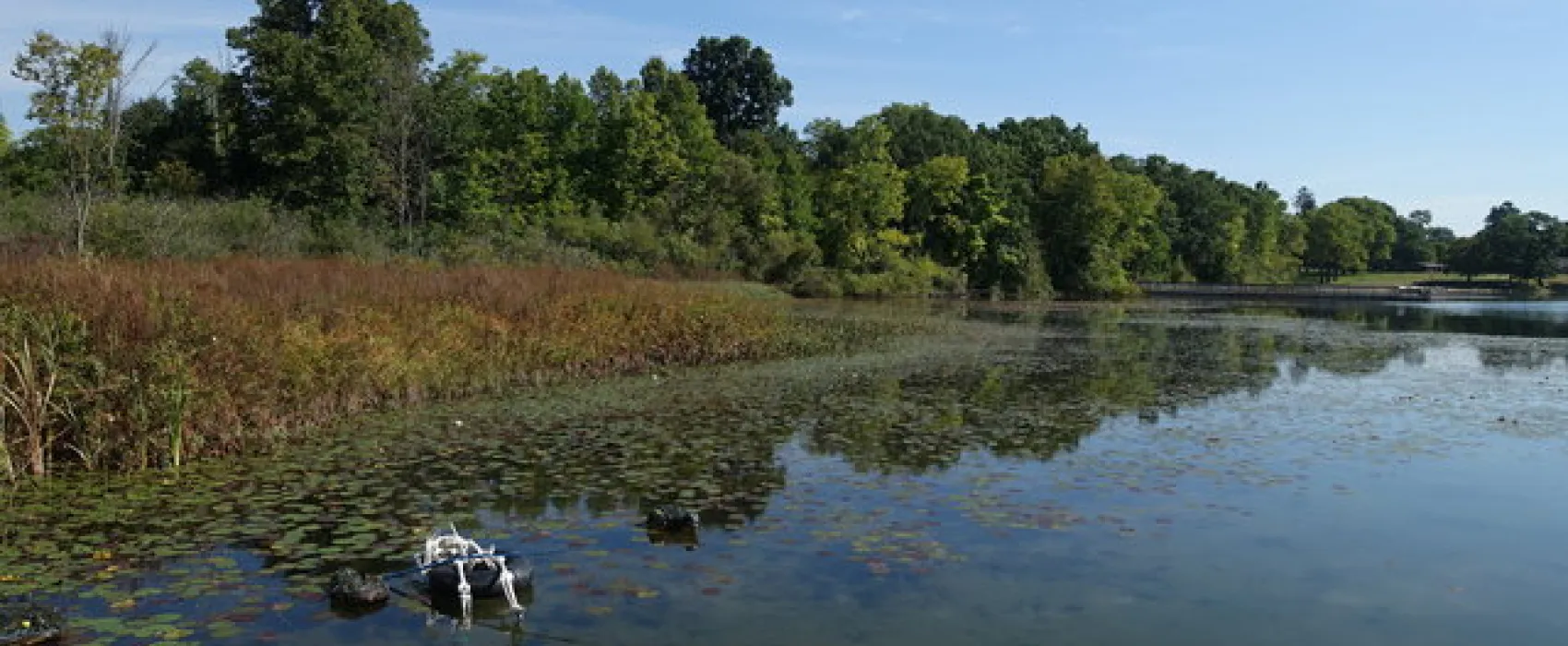 Myers Lake Campground