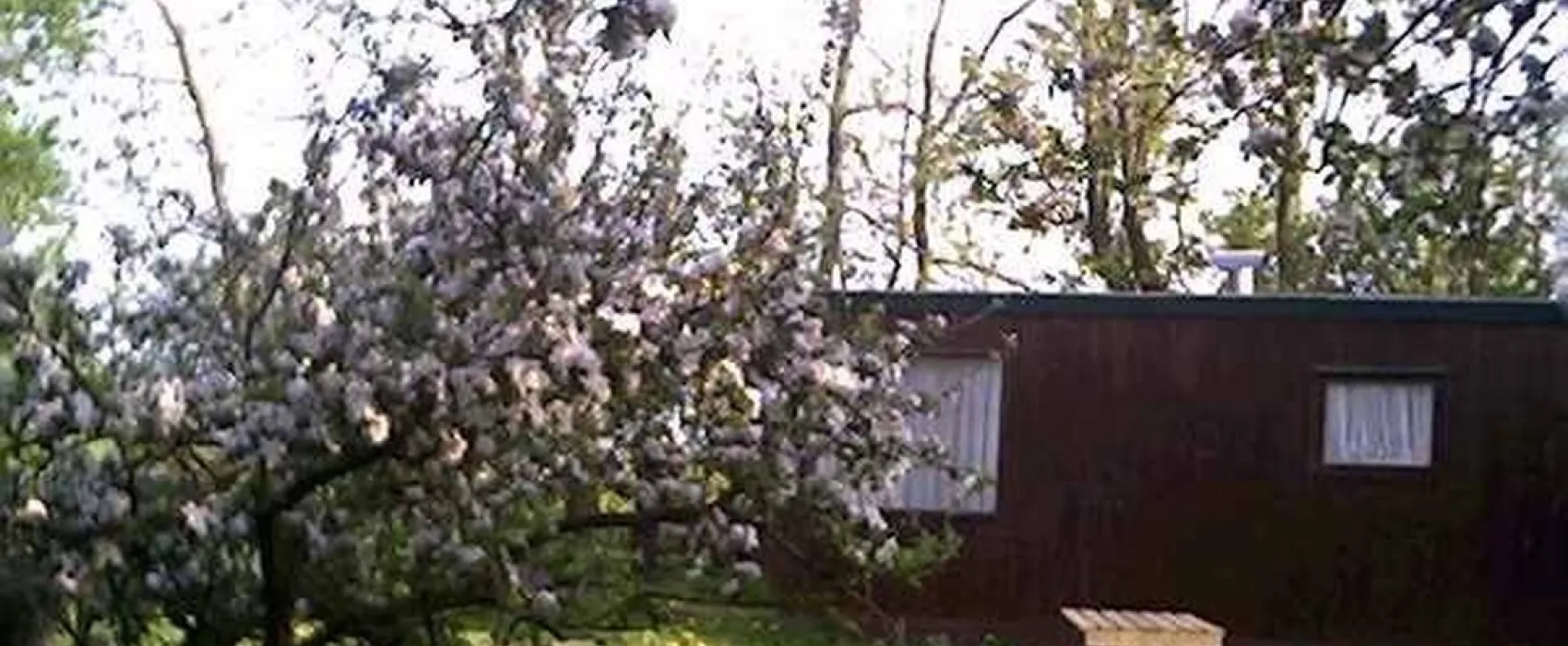 Minicamping De Slypstien