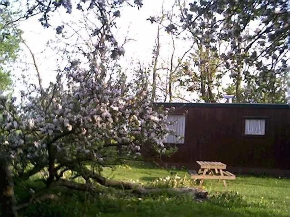 Minicamping De Slypstien