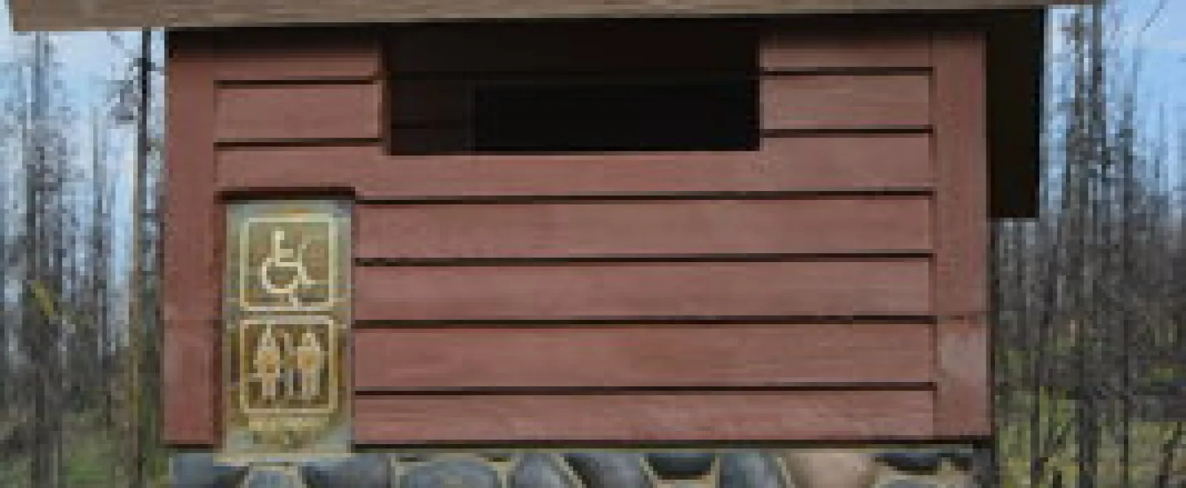 Grassy Lake Road Campsite #8