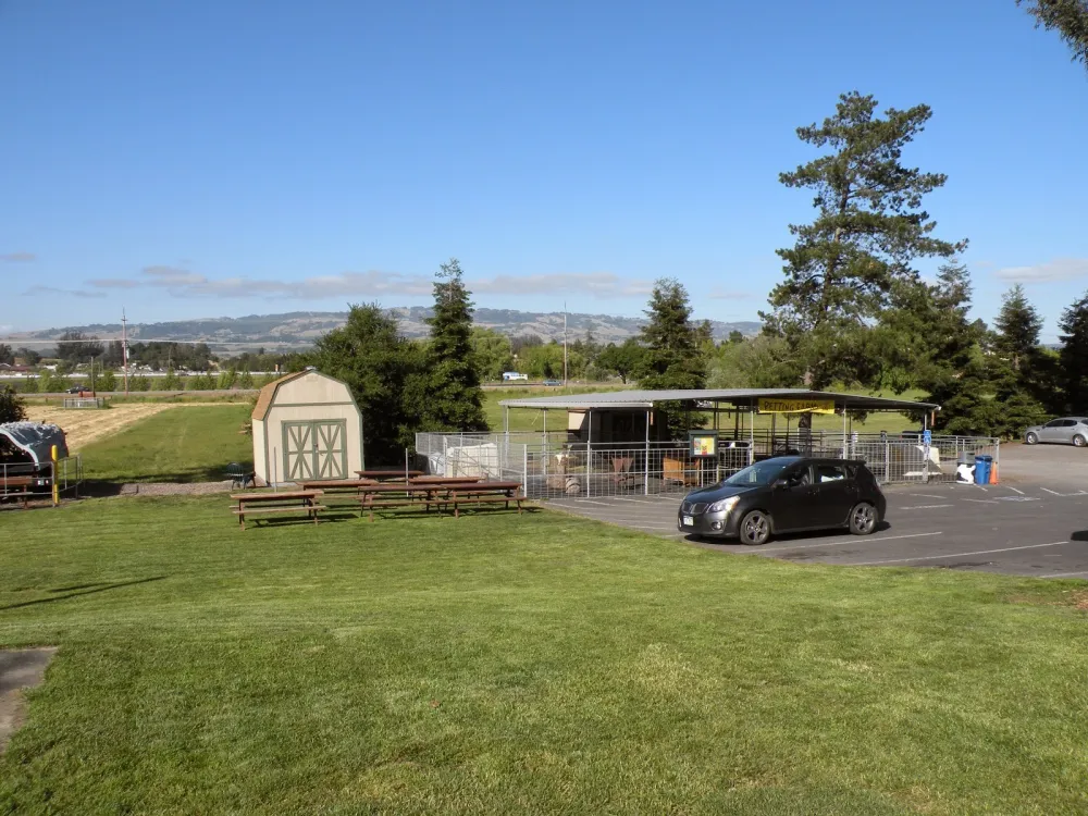 San Francisco North Petaluma KOA