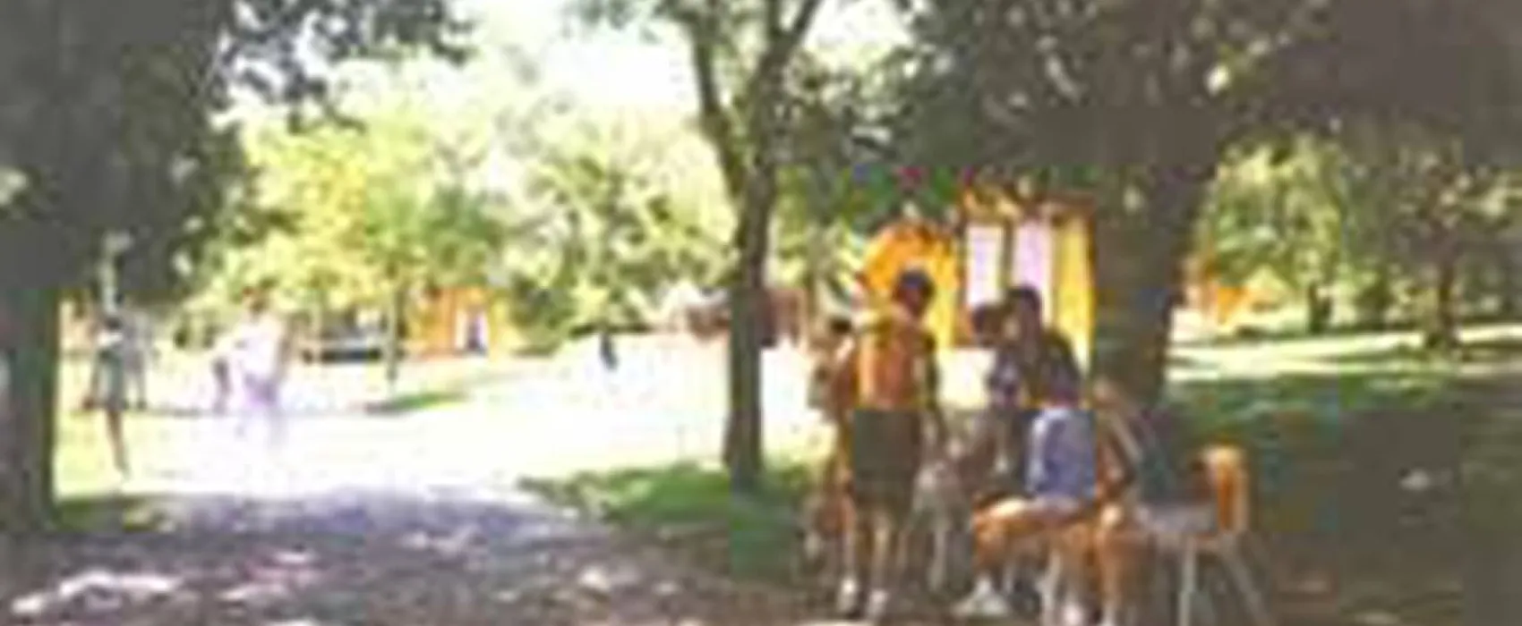 Camping L'oasis du Berry