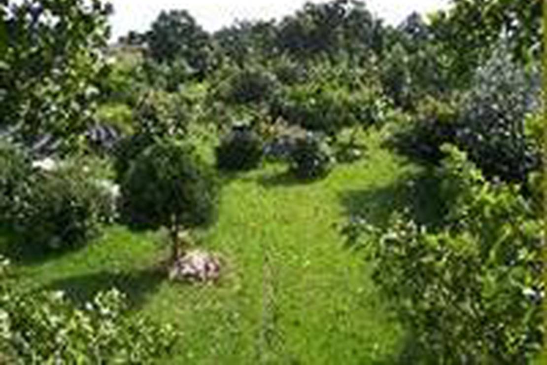 Camping A La Ferme La Safraniere de Louest photo 4
