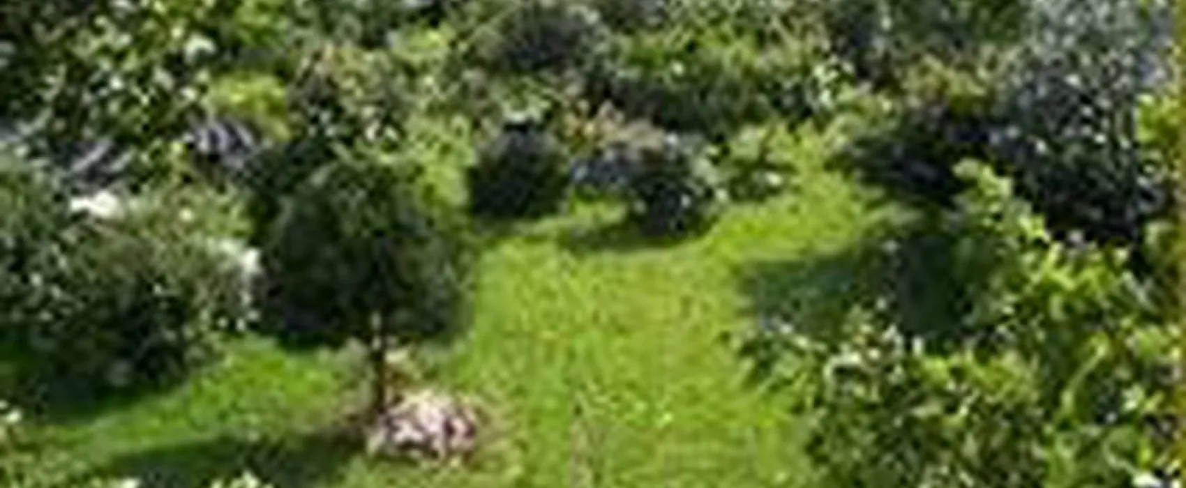 Camping à la ferme La safranière de l'ouest