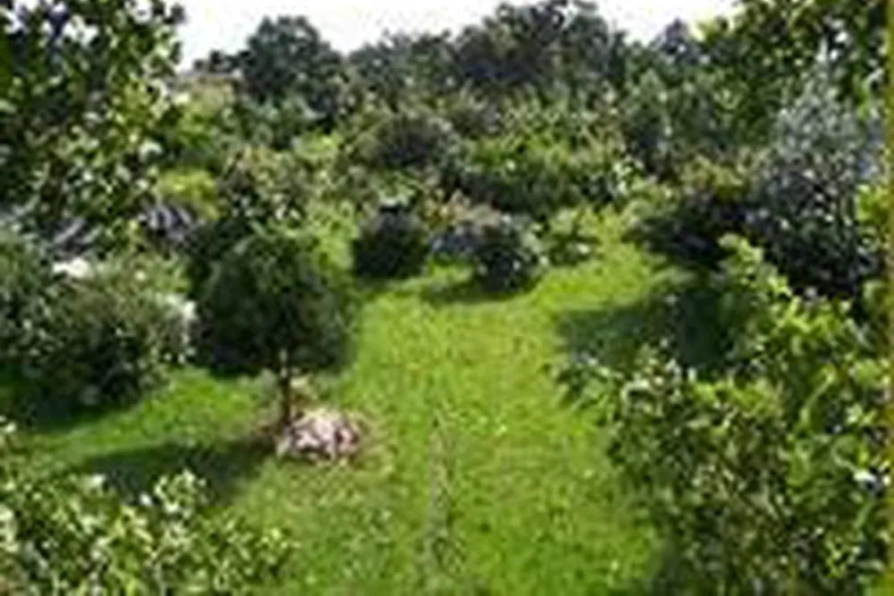 Camping à la ferme La safranière de l'ouest