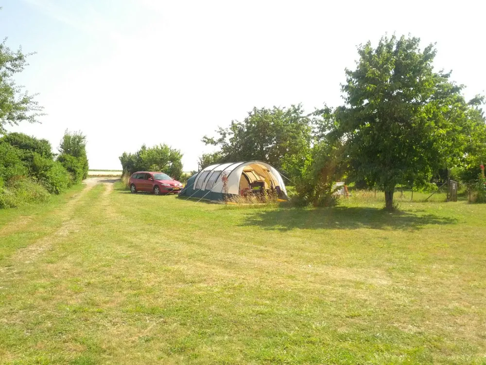 Domaine Le Grand Cailleau